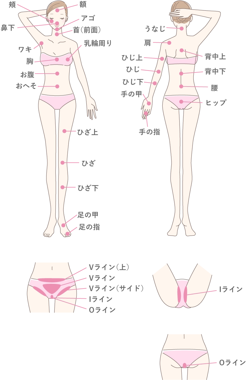 身体の部位ごとに名前が記載された全身のイラスト